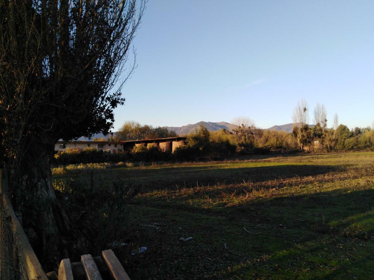 Tiny Colchagua Cabanas Y Padel Apartment Santa Cruz Bagian luar foto